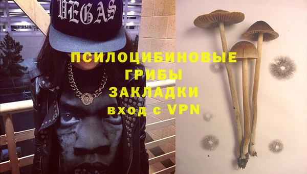 дурь Алексеевка