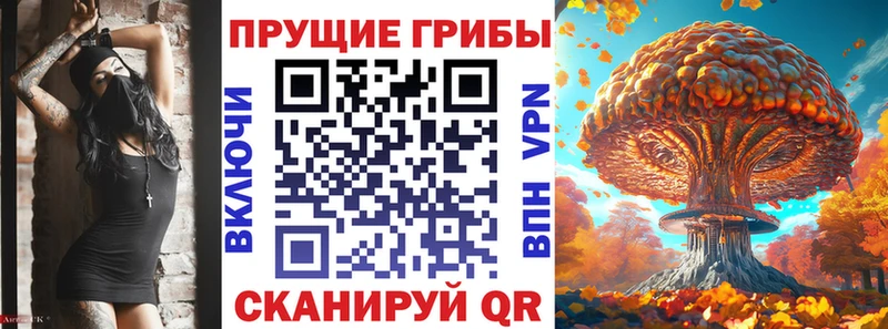 даркнет сайт  Кизел  Псилоцибиновые грибы ЛСД 